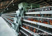 ISO stand battery layer cages