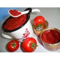 70g-4500g high quality 28-30%, 36-38% tomato paste from China suppikler