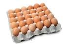 Fresh Brown Chicken Eggs
