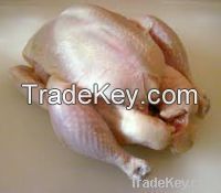 Halal Whole Chicken Grade A