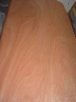 Offer Rotary Cut Okoume Veneer