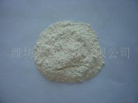 2014 New Crop First Grade Dehydrated Garlic Powder 100-120mesh