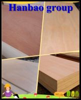 sell bintangor/okoume marine plywood