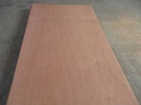 sell high quality low price Bintangor plywood