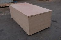 sell bintangor okoume plywood for furniture BB/BB BB/CC