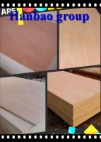 sell bintangor okoume plywood for furniture BB/BB BB/CC