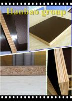 sell Hot sale Film Faced Plywood for construction formwork