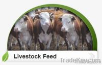 Sell Livestock Feed