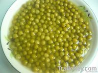 Sell canned green peas