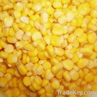 Sell sweet corn kernel