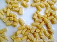 Sell canned baby corn cut