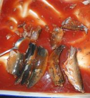 Sell canned mackerel in oil