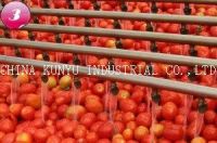 Sell Tomato Paste