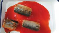 Canned mackerel in tomato sauce