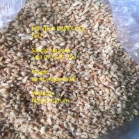 Cashew nut BB2 for Sauce with the best price