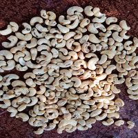 CASHEW NUT SK/SK1/SK2 CHEAP PRICE FROM VIETNAM