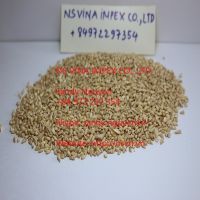 BABY BIT CASHEW NUTS BB DISCOUNT FROM VIETNAM