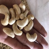 HOT DEAL FROM VIETNAM CASHEW NUTS W450