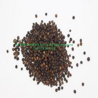 +84 972 297 354 Vietnam discount black pepper