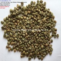 +84 972 297 354 SCREEN 16 NOT CLEAN ROBUSTA COFFEE BEAN