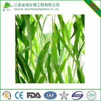 White willow bark extract supplier