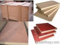 Factory-directly sales film faced plywood/commercial plywood