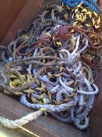 Scrap, Waste, Marine Nylon rope and Polypropylene rope