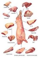 Frozen Halal Buffalo Meat (Fore Quarter Meat, Blade, Omasum)