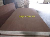 Vietnam Keruing Plywood from Vietnam