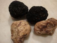 Black and white Truffles