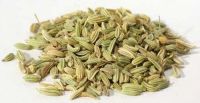 Fennel Seeds