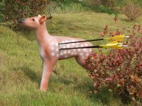 3D archery target deer shooting