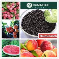 Huminrich Shenyang Organic Humic Acid Granular Plant Growth Regulator