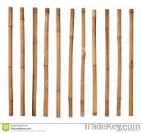 BAMBOO POLE