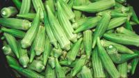 New Crop Fresh Frozen Okra