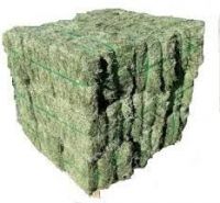 ALFALFA HAY ANIMAL FEED