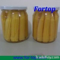 Super High Quality Baby Corn In Low Price