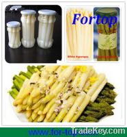 Chinese Fresh Canned White Asparagus in Brine