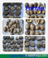 100% Natural Dried Shiitake Mushroom