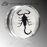 Acrylic Insect Ear Plugs Body Piercing Jewelry