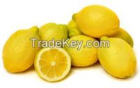 Fresh Premium quality Eureka Lemons.