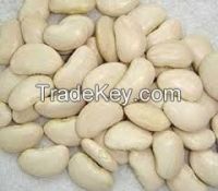 High Quality Lima Beans ready for Export