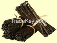 High Quality Vanilla Beans ready for Export