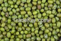 High Quality Mung Beans ready for Export