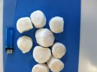 U.S.A IQF frozen scallops