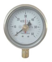 Shock proof pressure gauge