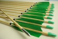 turkey feather green wood arrows