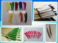 various colors streamline 100% turkey feather for DIY arrows