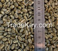 Sell Ethiopian Green Coffee Beans - Sidamo Grade2