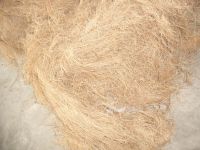 Sell palm fiber